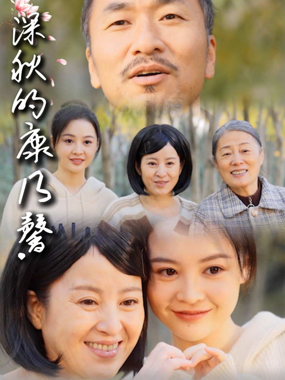 深秋的康乃馨