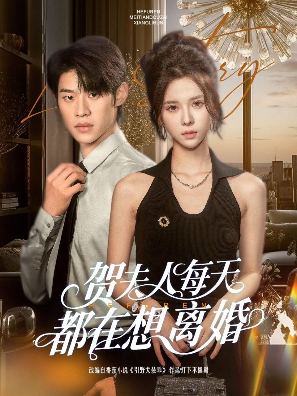 贺夫人每天都在想离婚