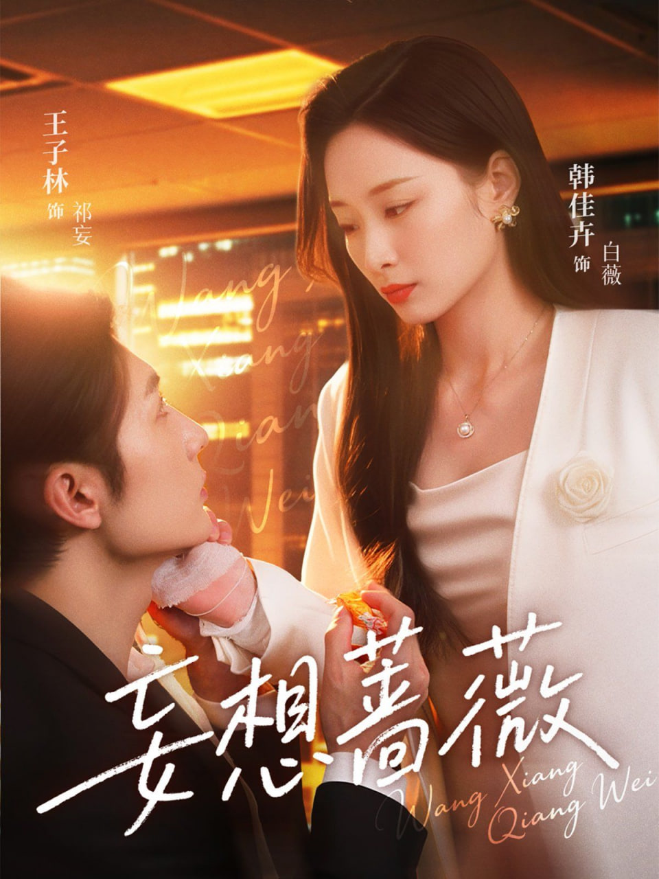 妄想蔷薇