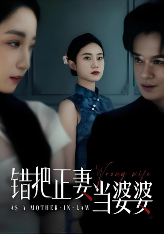 错把正妻当婆婆