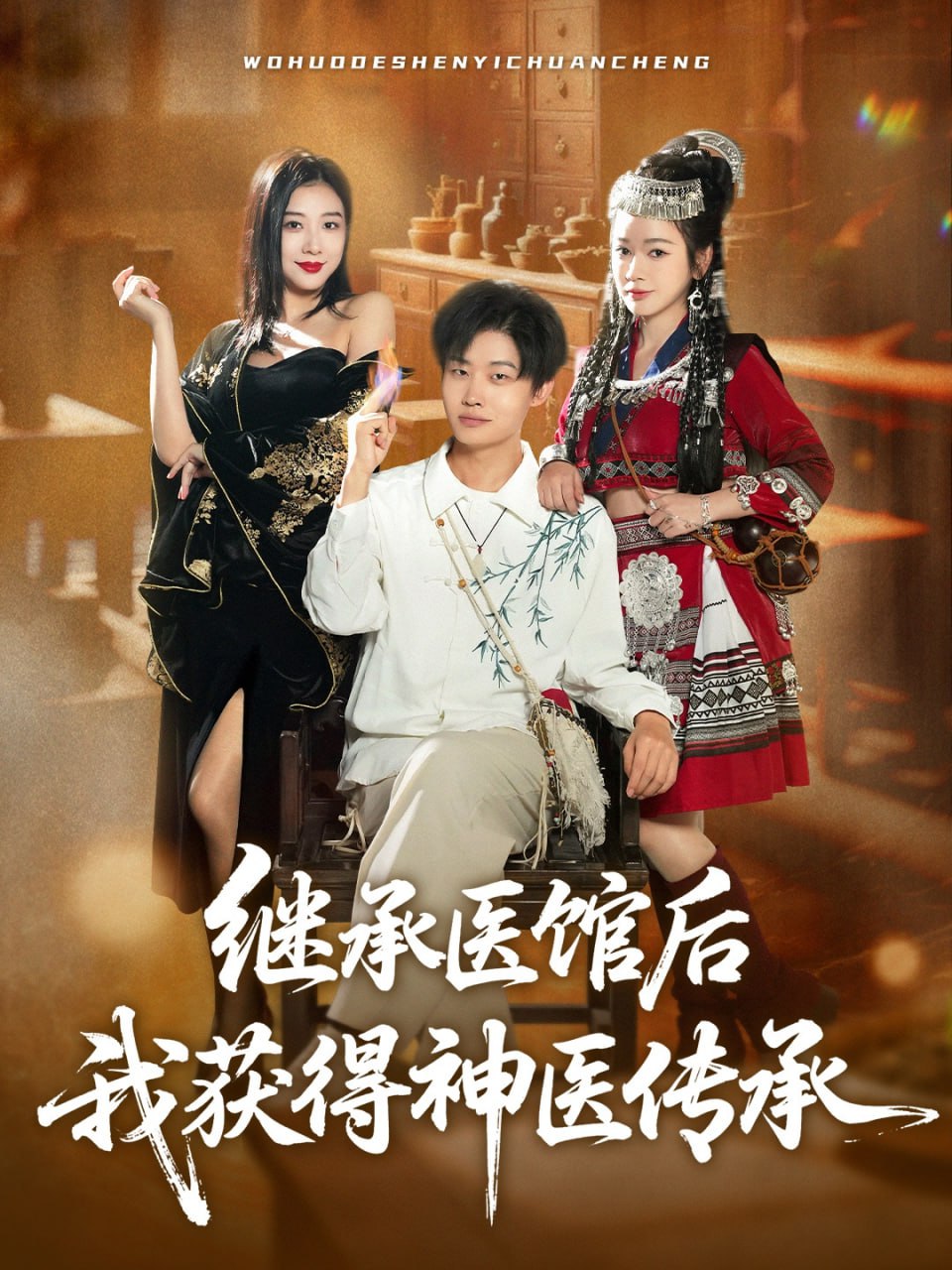 继承医馆后我获得神医传承