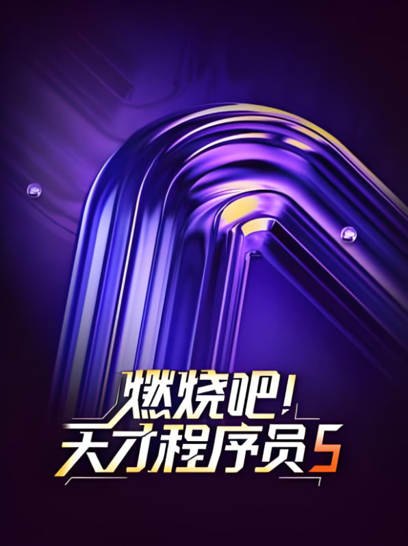 燃烧吧！天才程序员 第五季