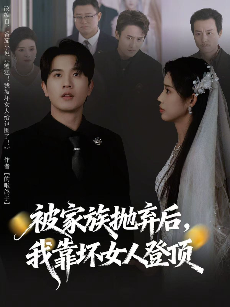 被家族抛弃后，我靠坏女人登顶 (重生后)，我靠人脉夺回少爷身份