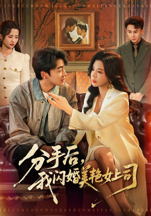 分手后，我闪婚美艳女上司