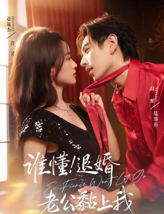 谁懂！退婚老公黏上我