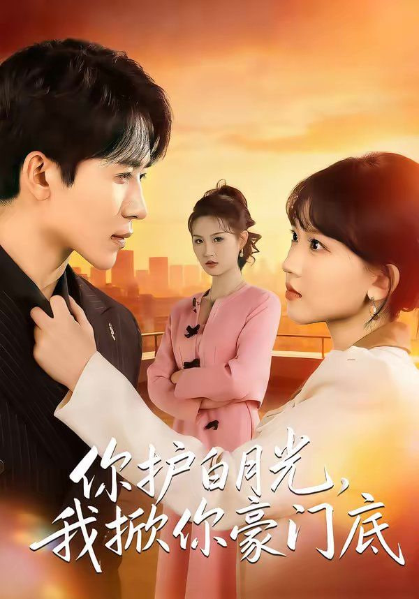 你护白月光，我掀你豪门底