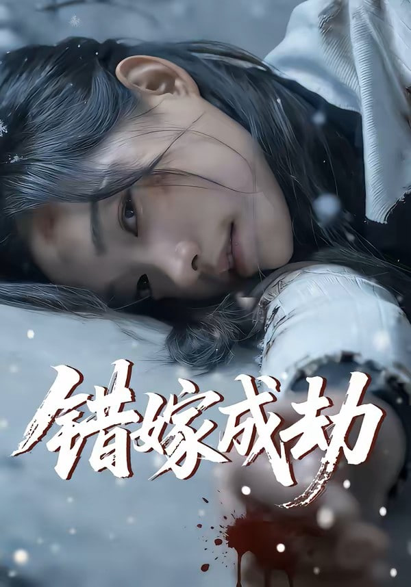错嫁成劫