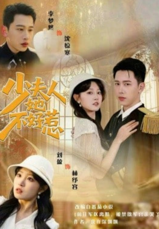 少夫人她不好惹