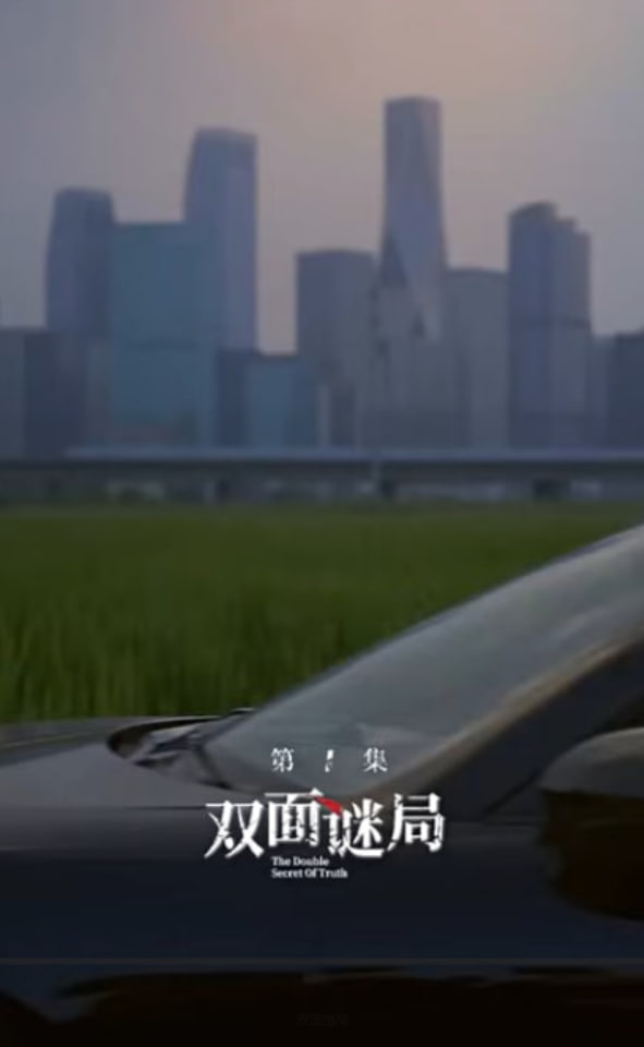 双面婚局
