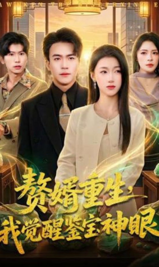 赘婿重生，我觉醒鉴宝神眼