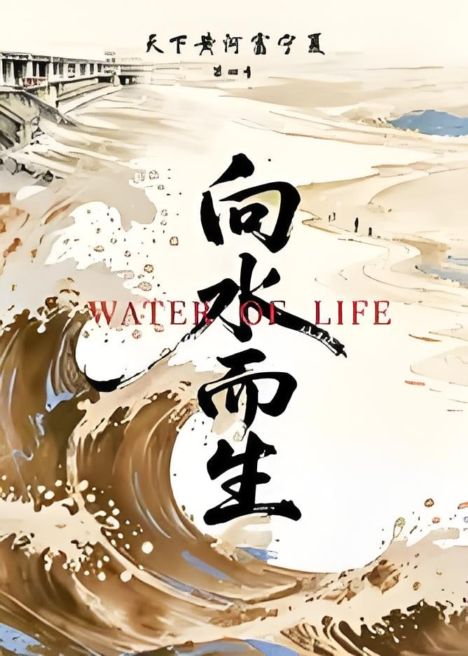 天下黄河富宁夏 第4季